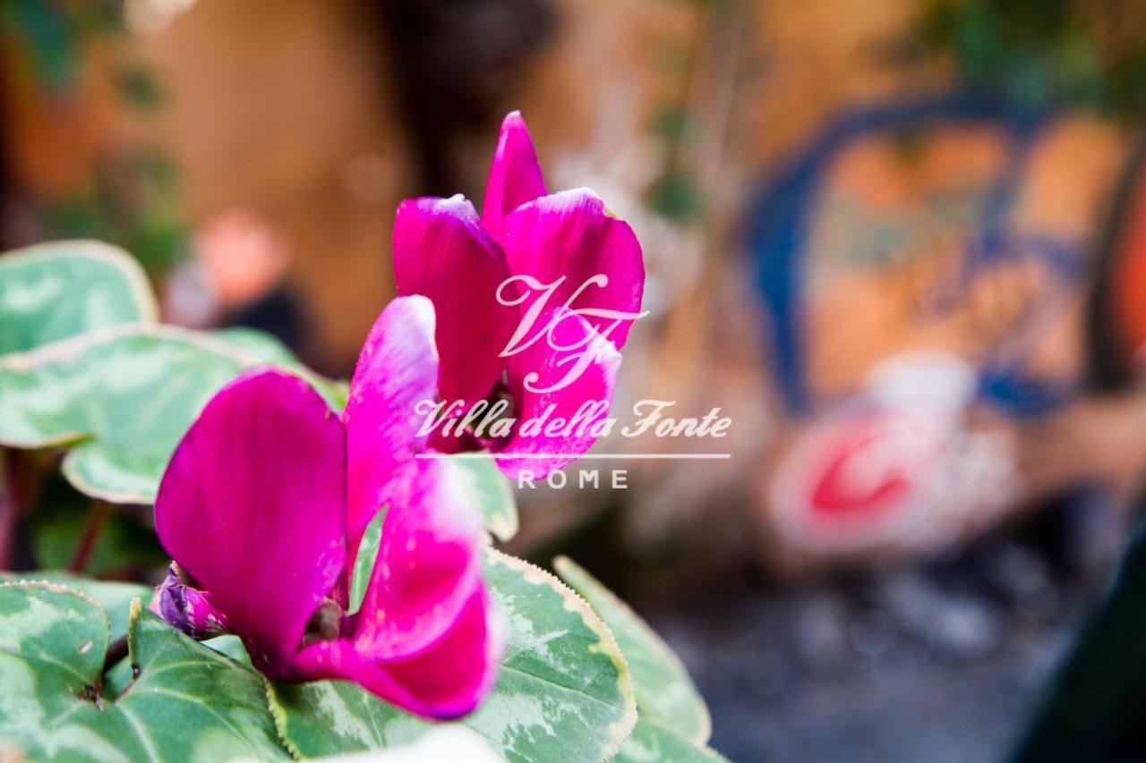 Bed and breakfast Della Fonte Roma